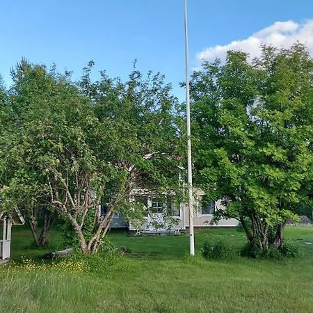 Sinettaestar-- Traditional Lapland Rovaniemi