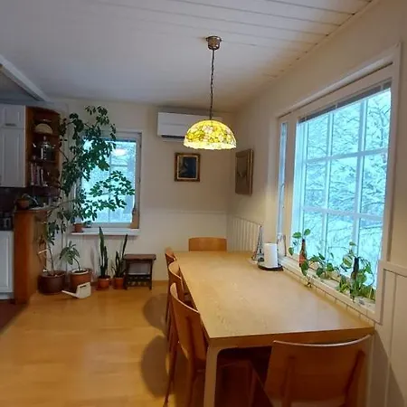 Sinettaestar-- Traditional Lapland Chalet Rovaniemi