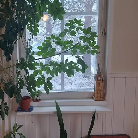 Chalet Sinettaestar-- Traditional Lapland *