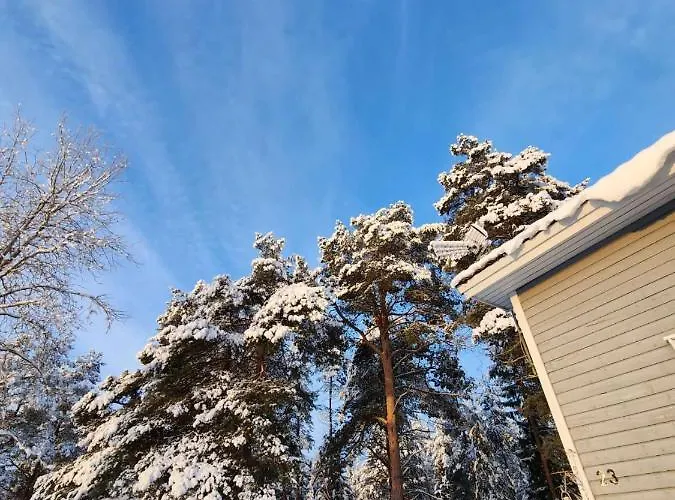 Sinettaestar-- Traditional Lapland Рованиеми