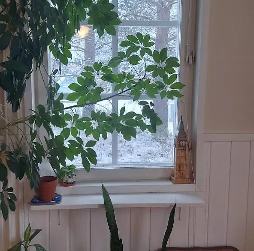 Шале Sinettaestar-- Traditional Lapland *