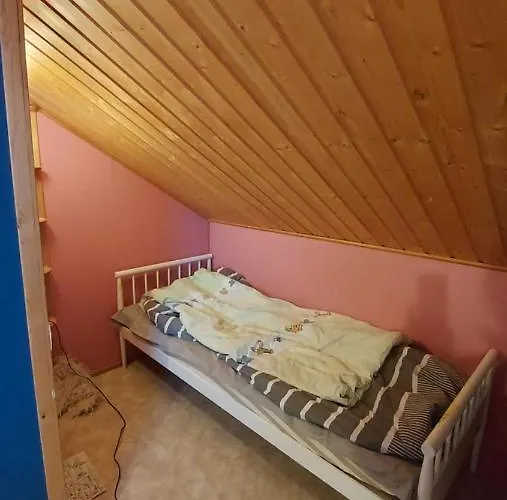 Sinettaestar-- Traditional Lapland